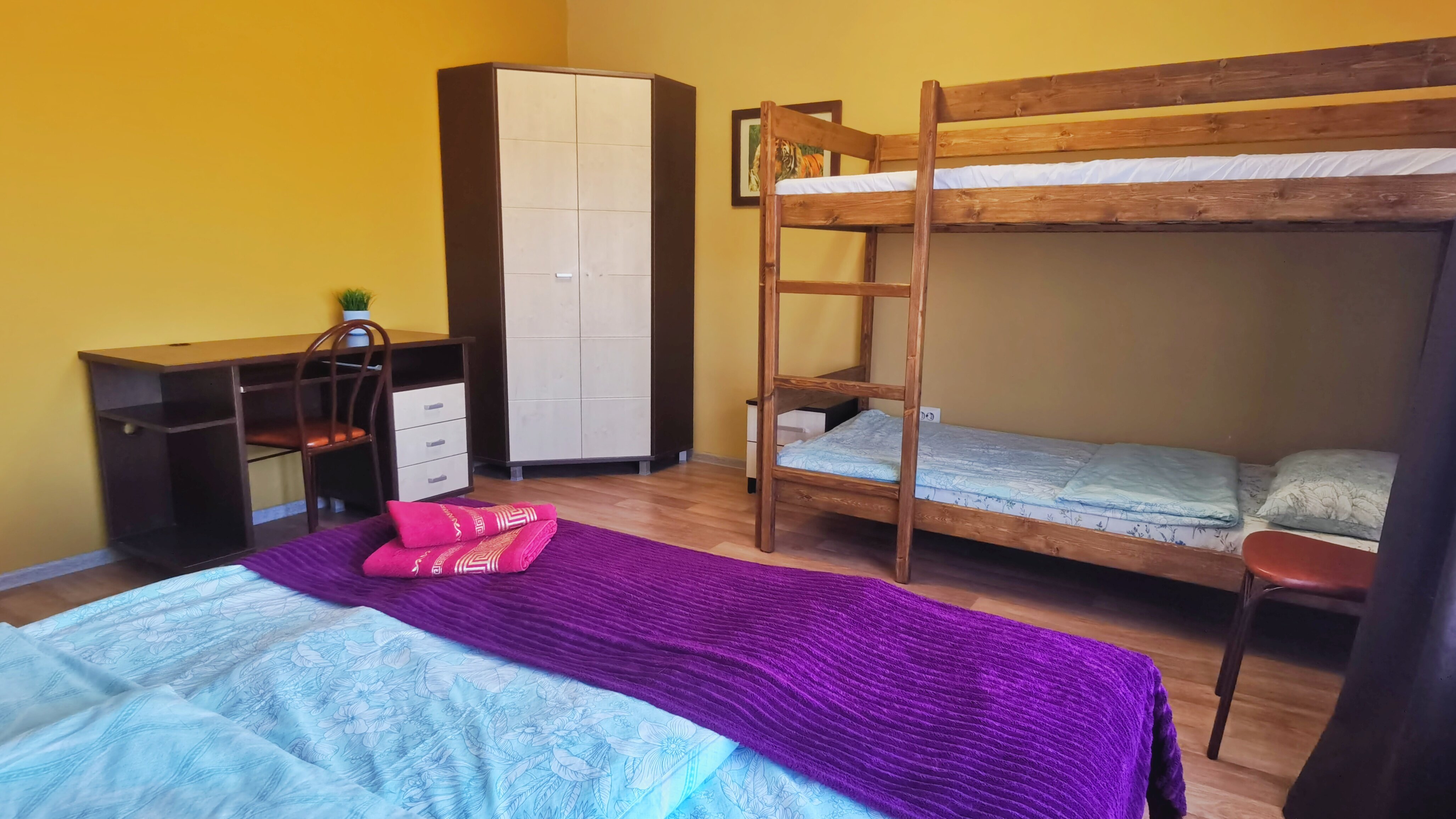 Фото Уютная Лиса