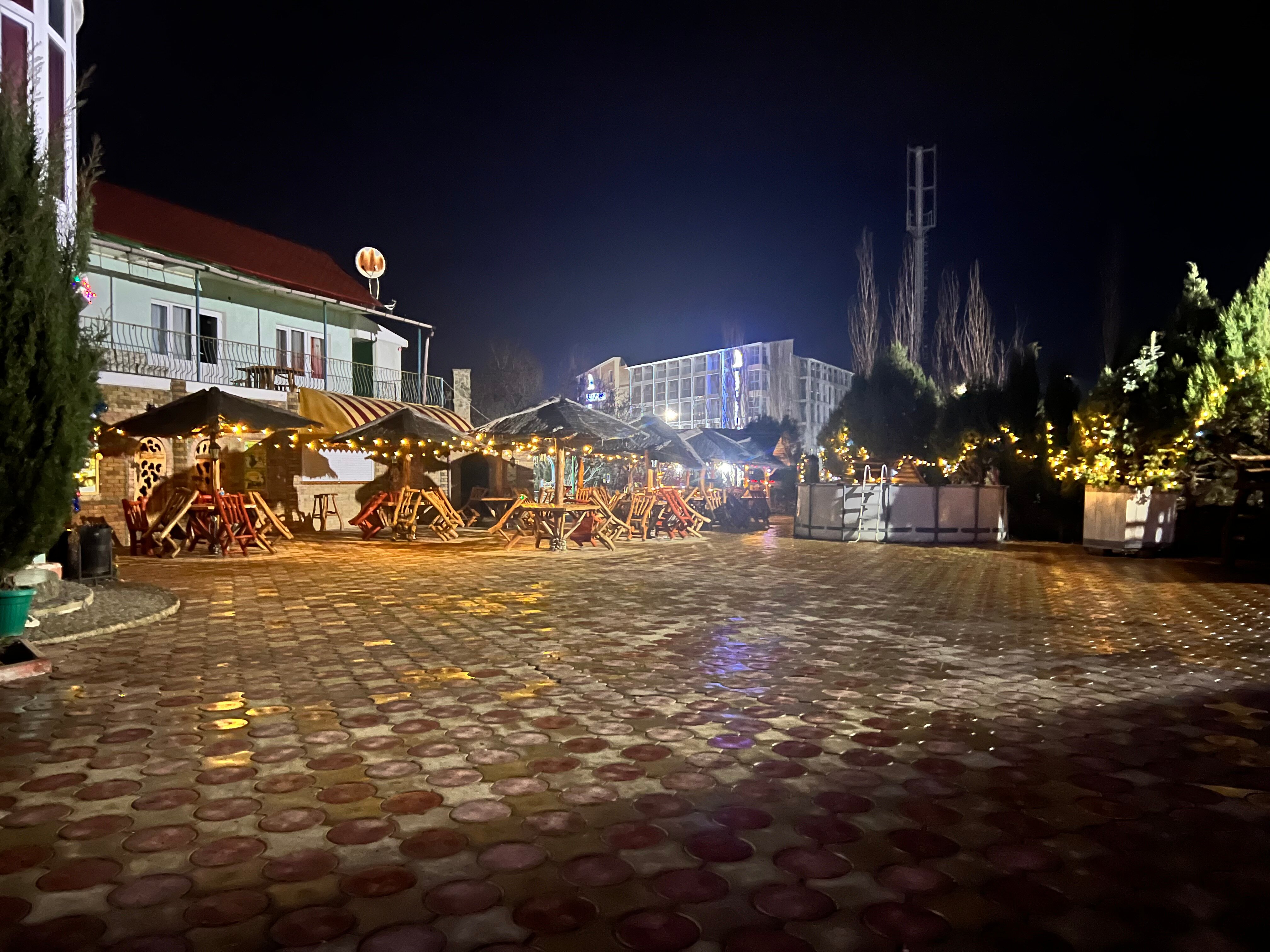 Фото Воробьиное гнездо