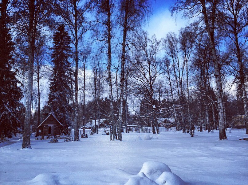 Фото Апартаменты в лесу