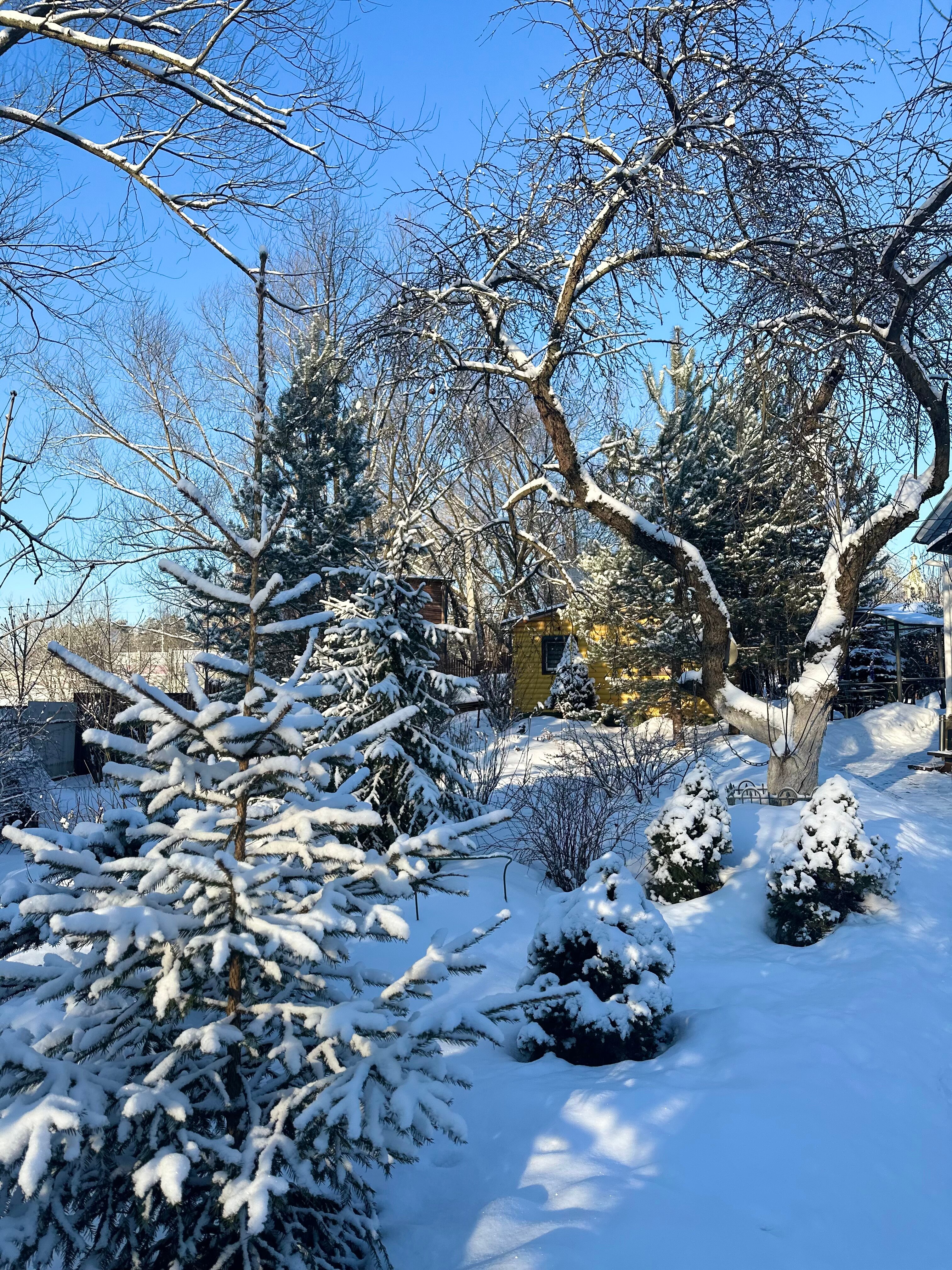 Фото Дача в Переделкино