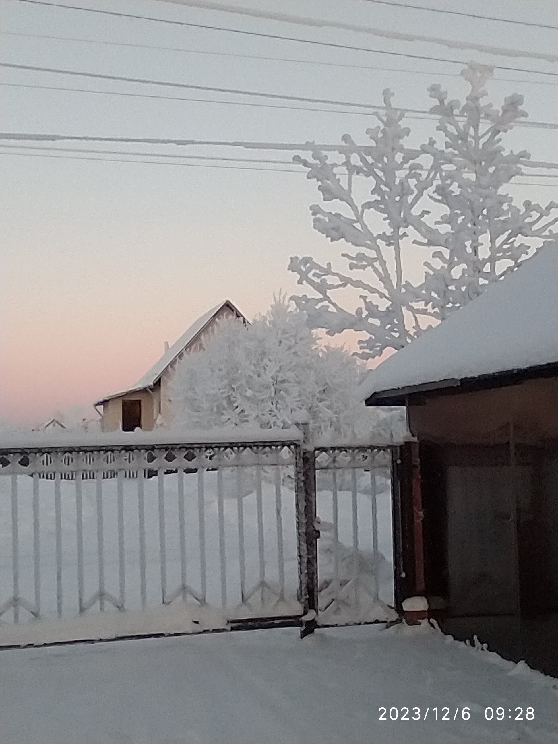 Фото Три клена