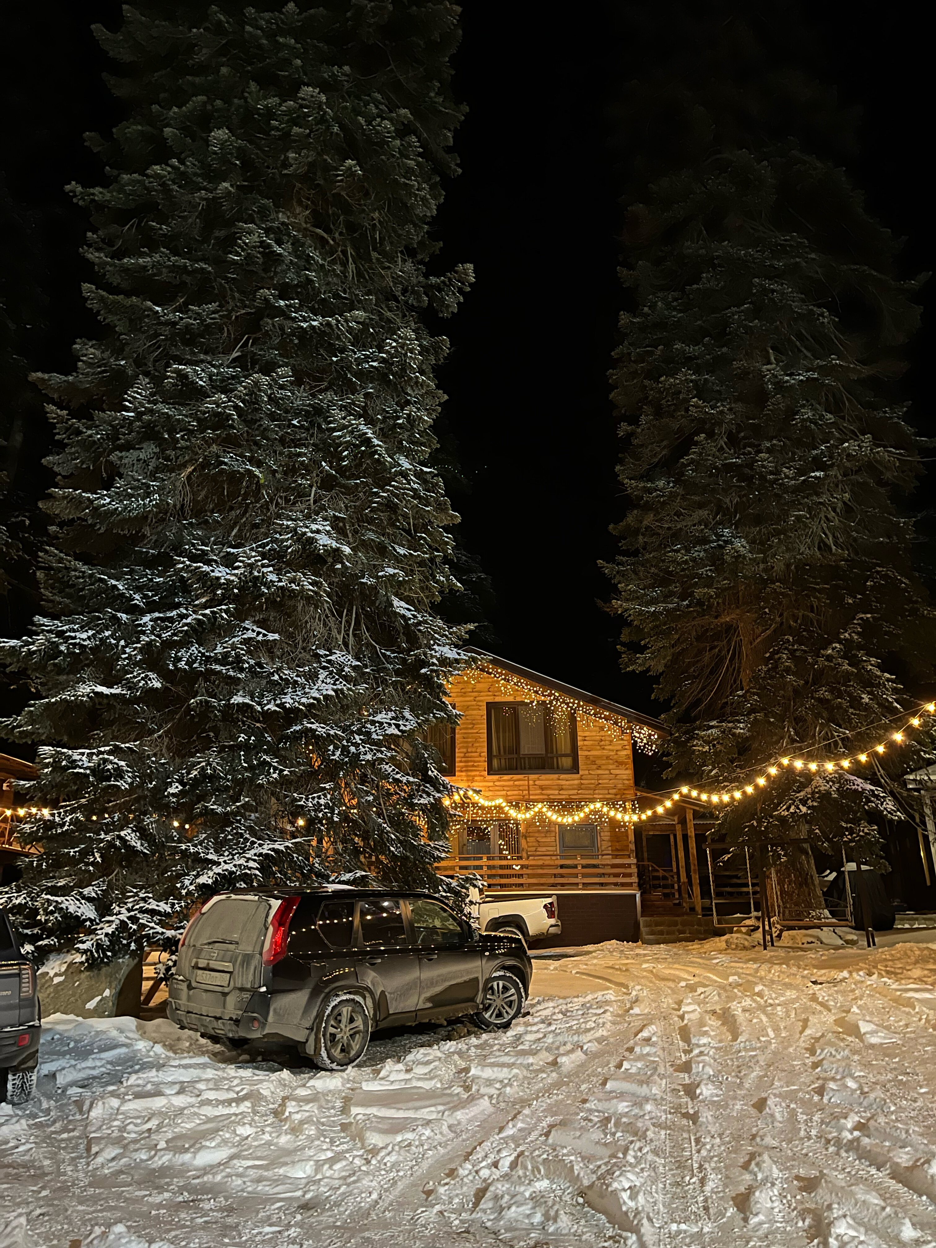 Фото Горная Лаванда