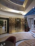 Happy Angel (Toreza Avenue, 77к1) ، تنظيم الأحداث
