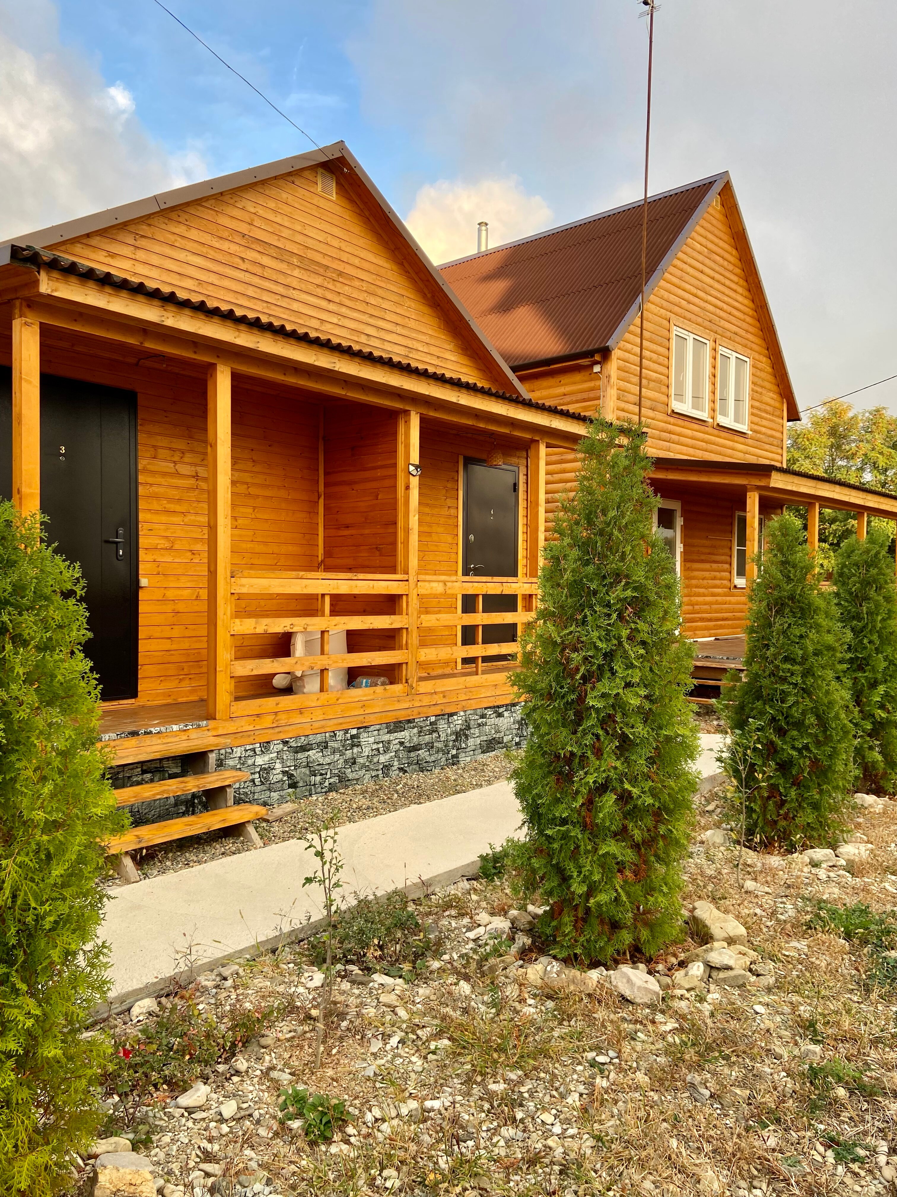 Фото Дельфин