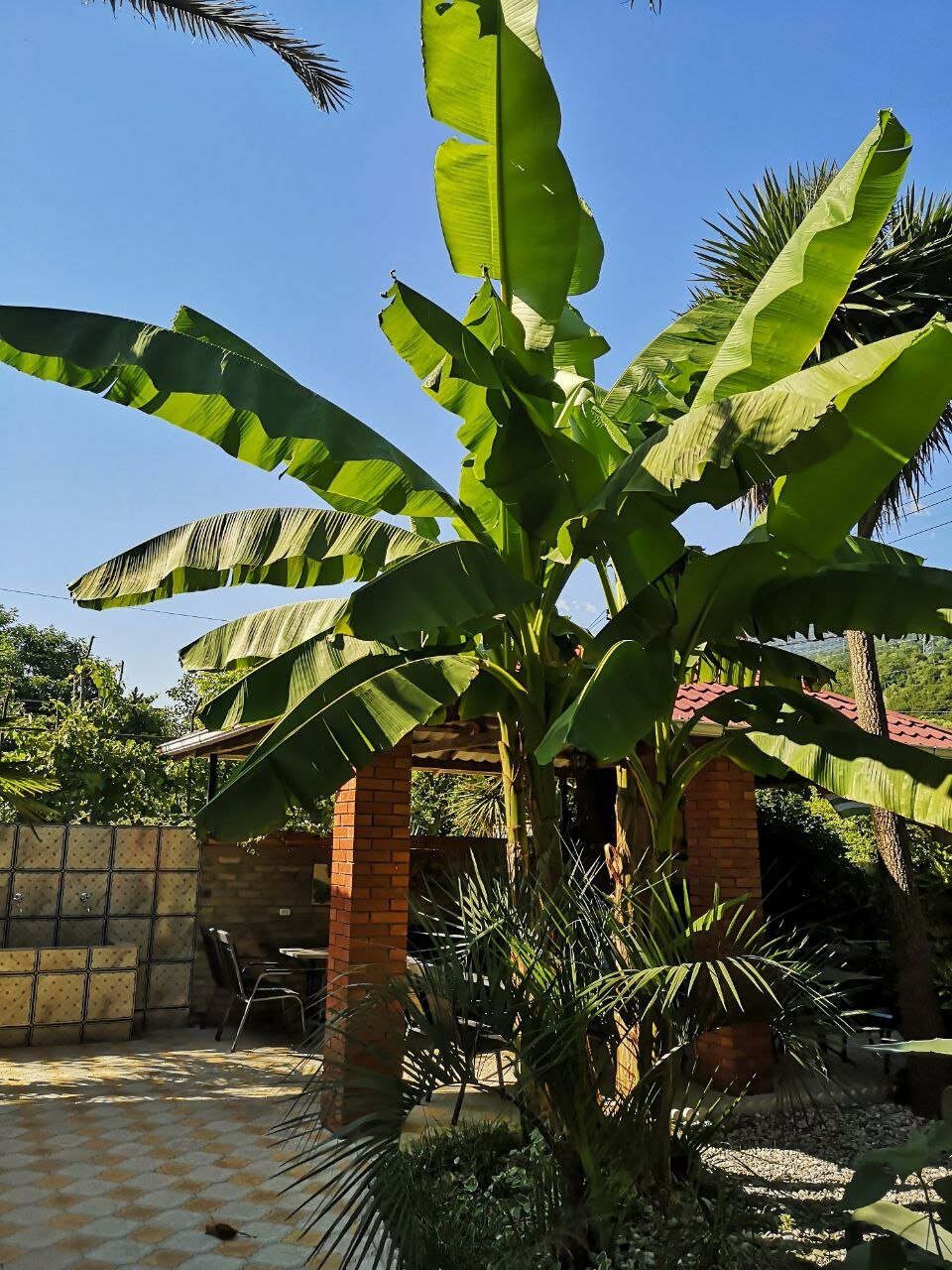 Фото Форелька