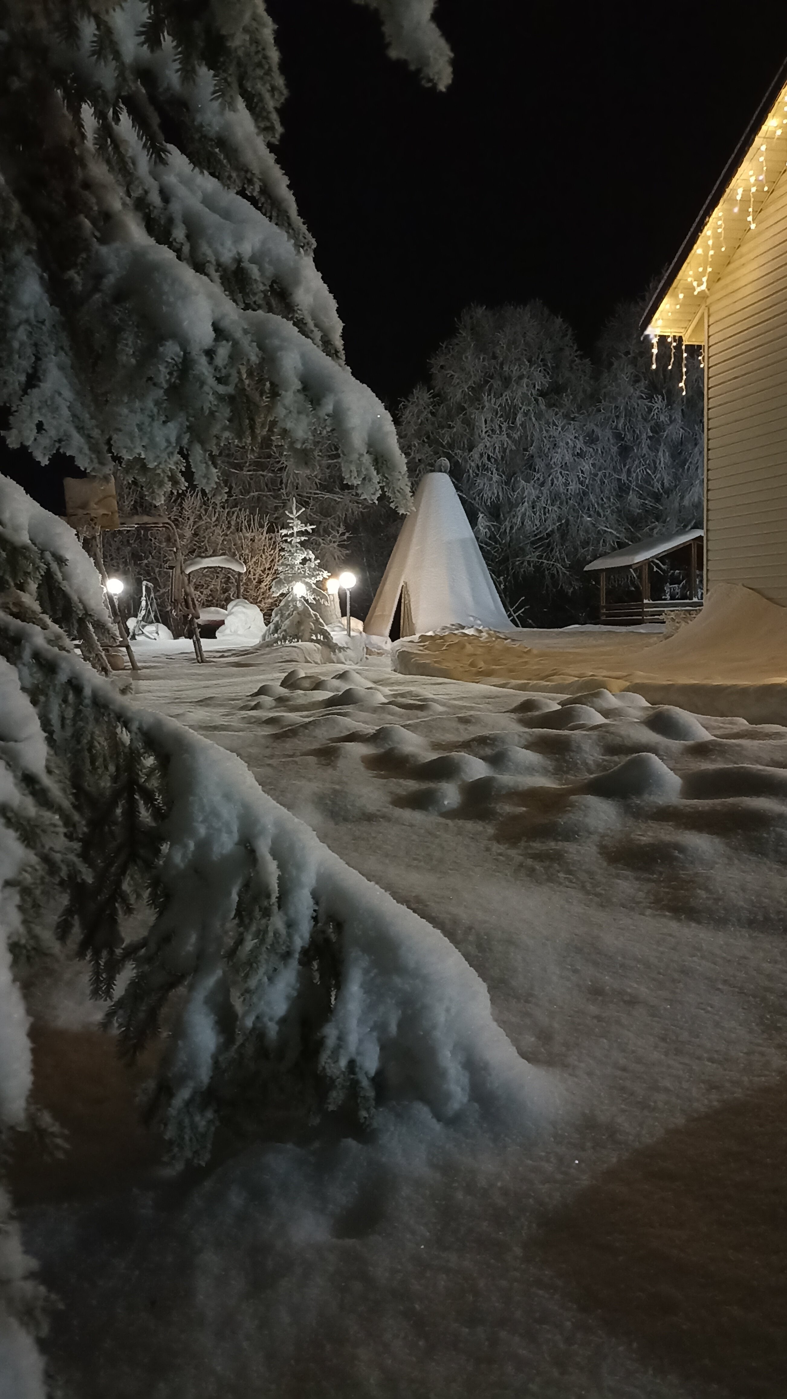 Фото Сепян Коди