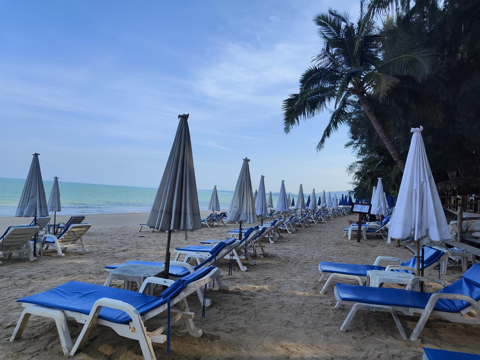 Фото Palm Galleria Resort