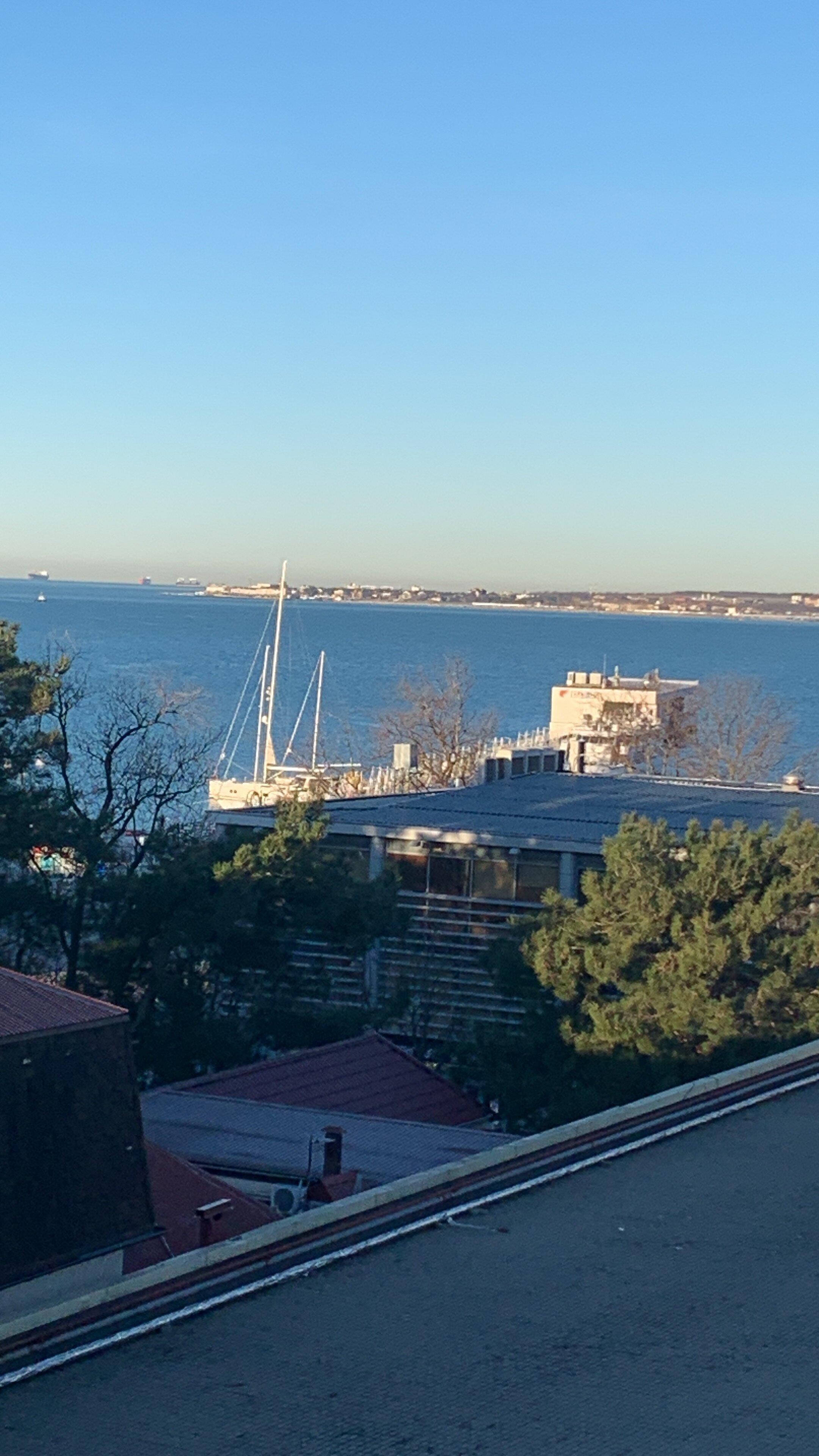 Фото Центральный