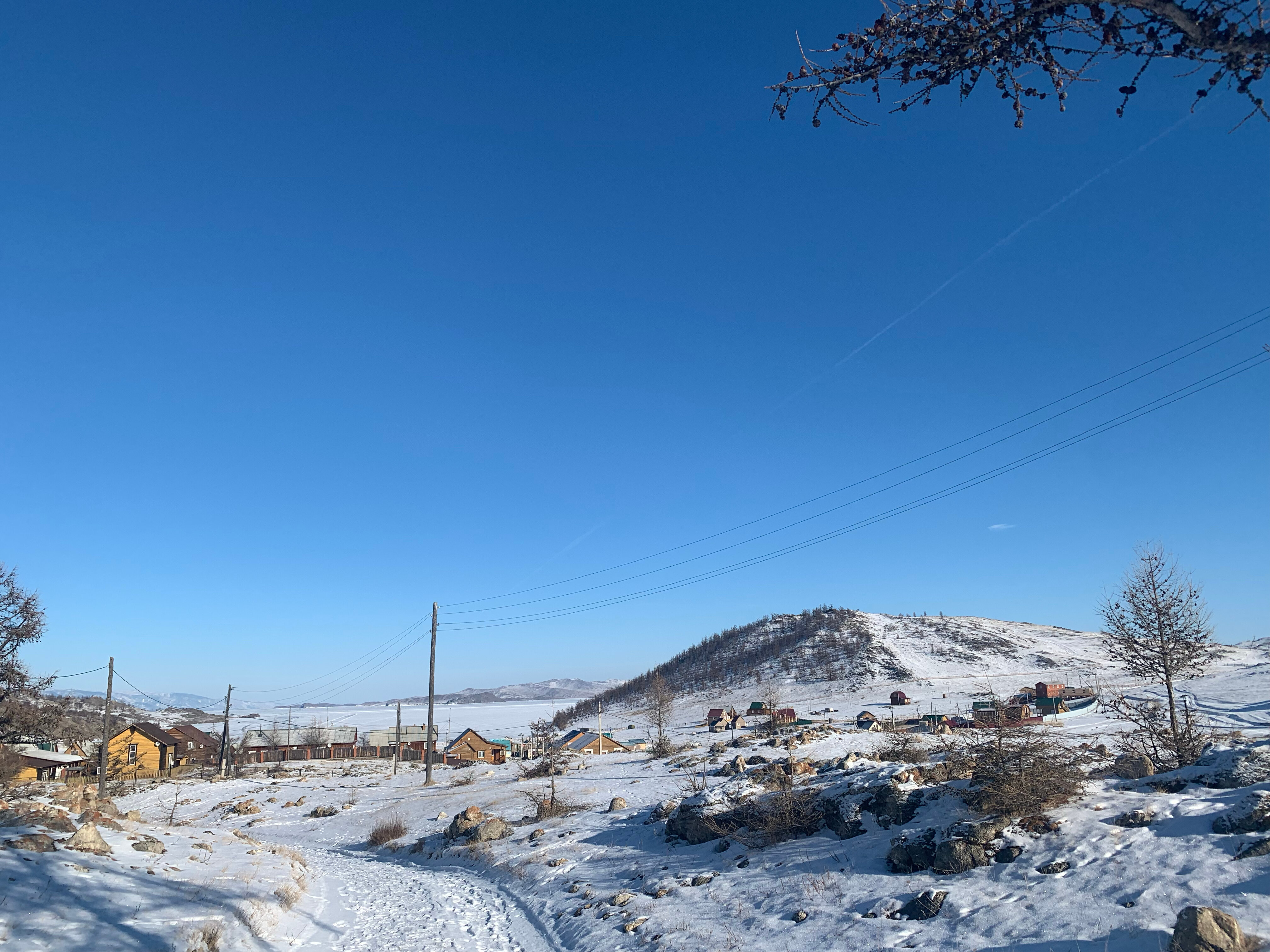 Фото Чабрец