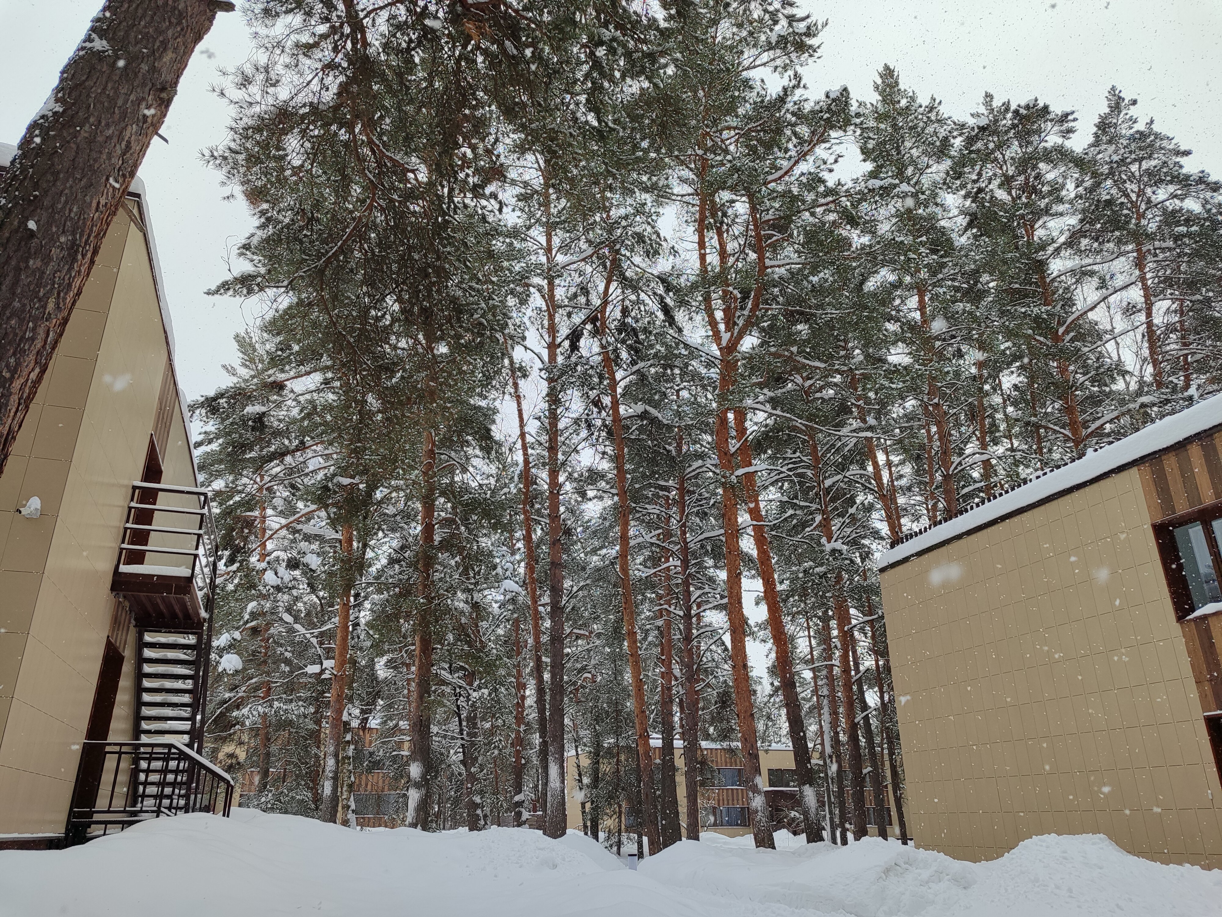 Фото Времена года в зелёном городе