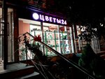 Flowers24 (Novotushinsky Drive, 6к1), flower shop