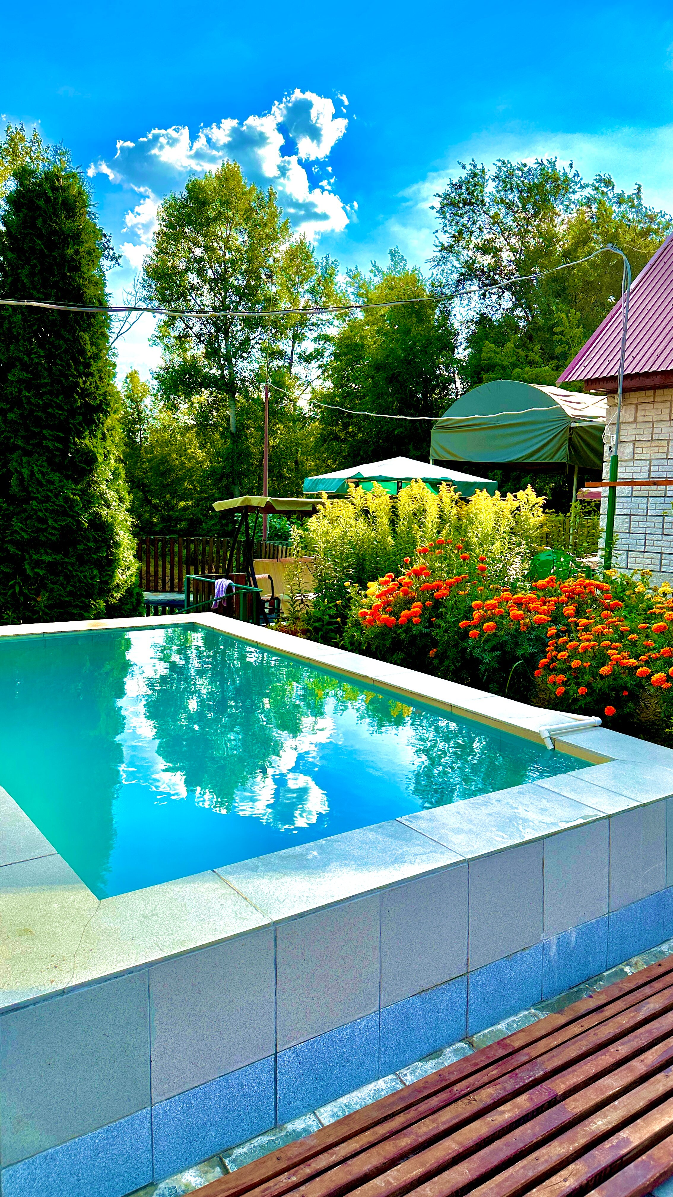 Фото Николаевский