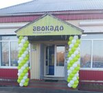 Avokado (selo Zarechnoye, Kooperativnaya ulitsa, 53Б) ، محل بقالة