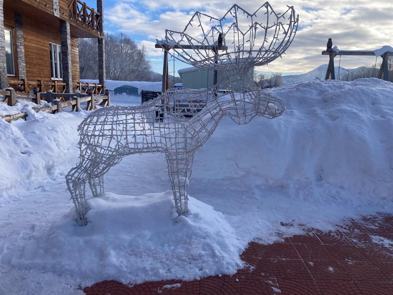 Фото Лесная поляна
