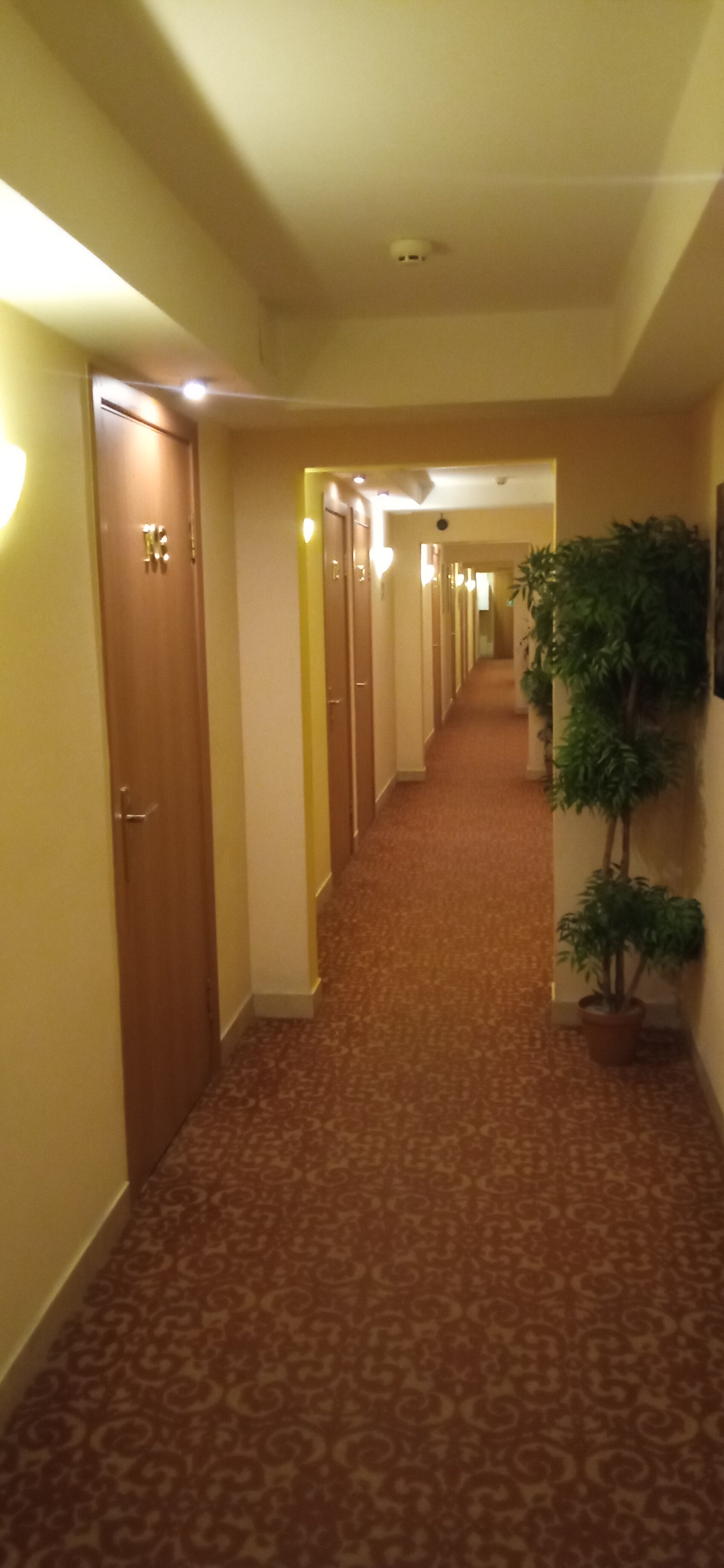 Фото Апельсин