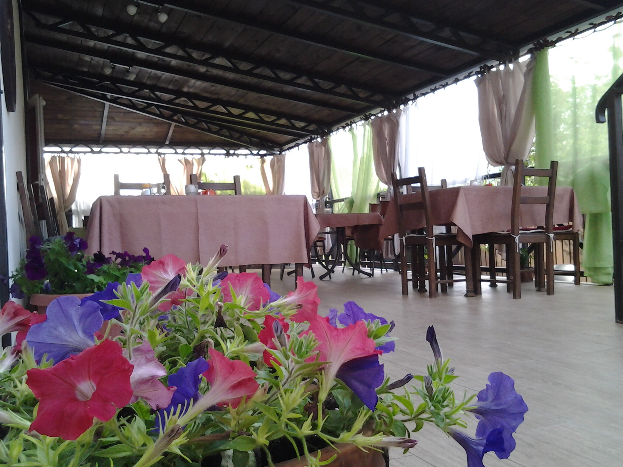 Фото Альпина