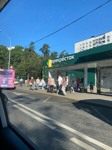 Пискадан разрядты жалады