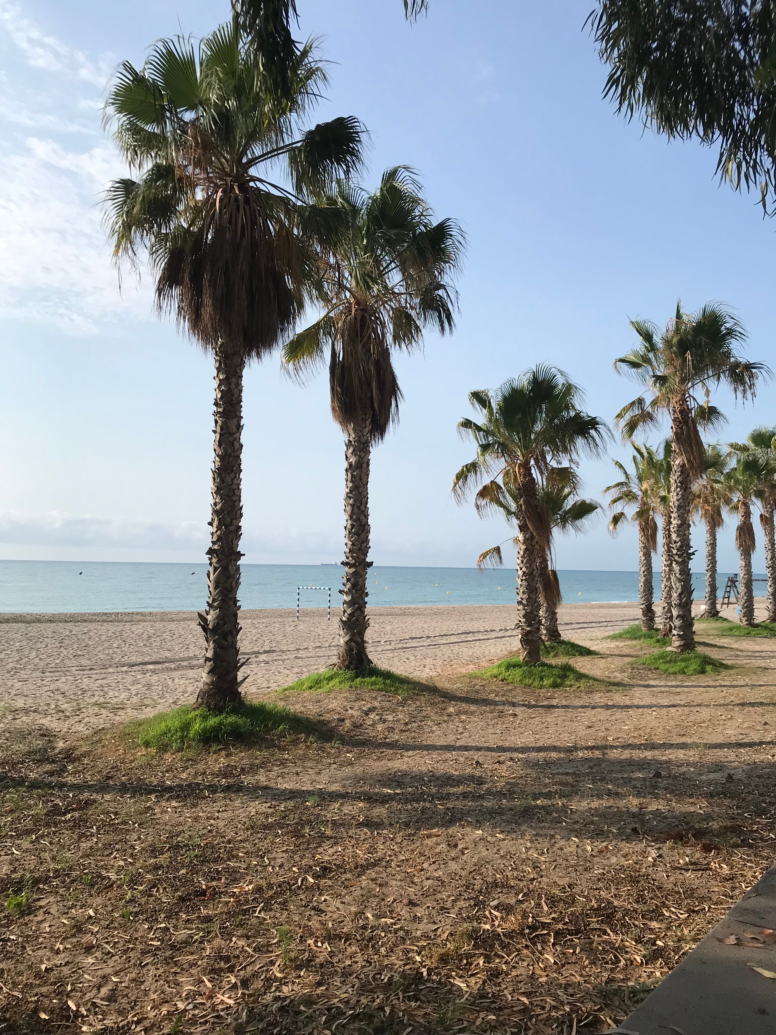 Фото Hotel Servigroup Trinimar