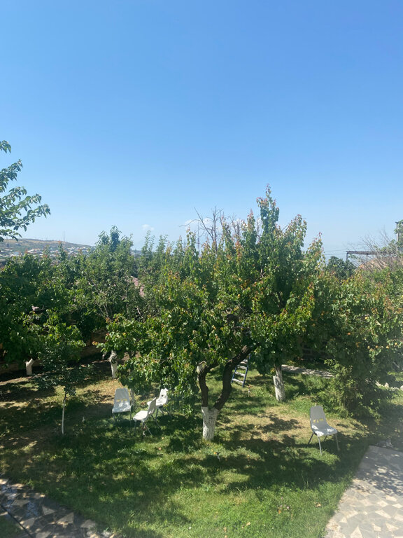 Фото Отель Patriott