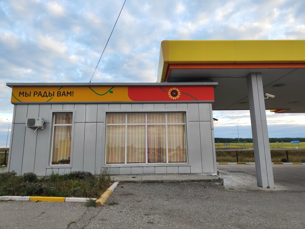 Gas station Rosneft, Ulyanovsk Oblast, photo
