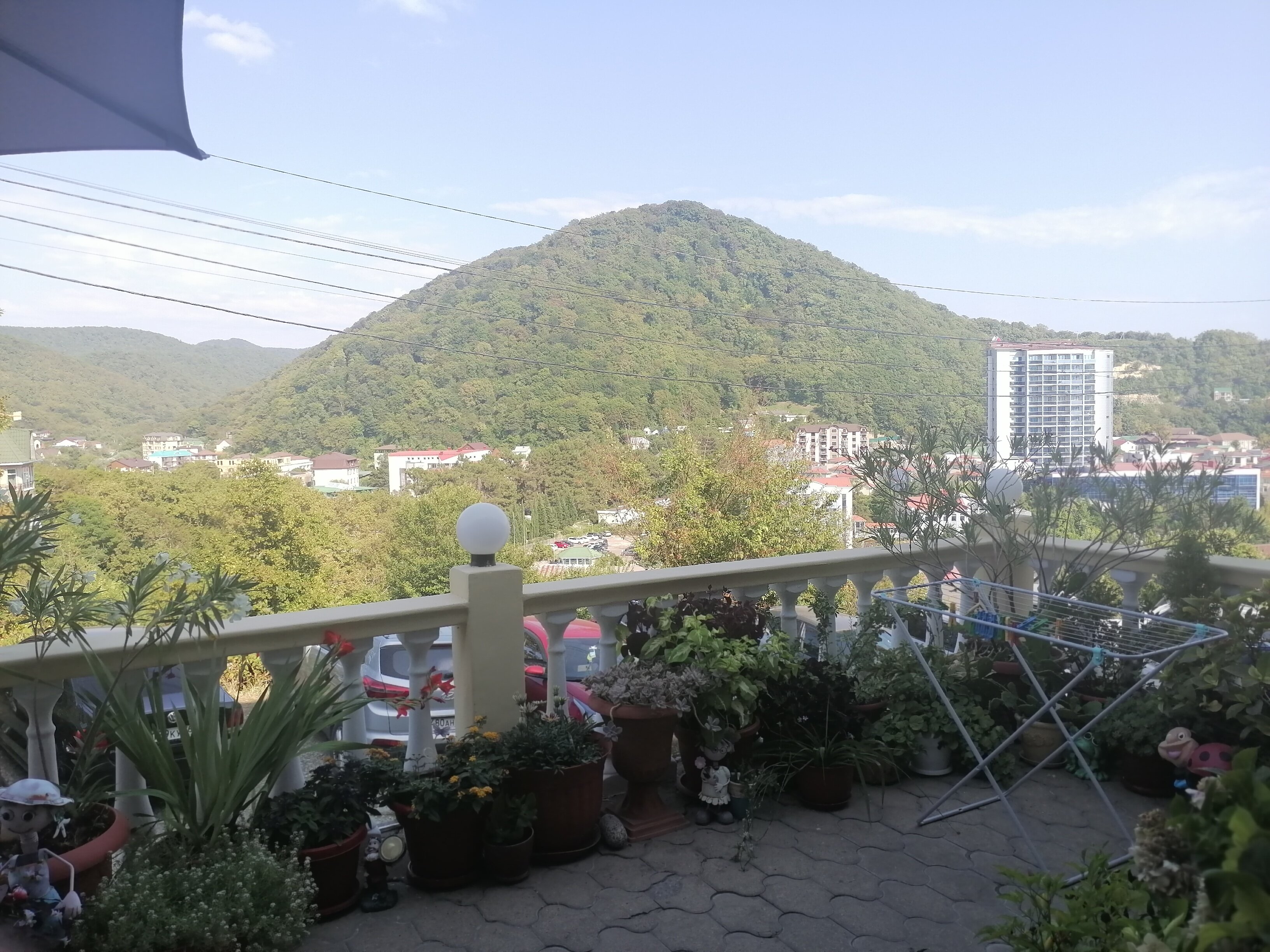 Фото Рамелия