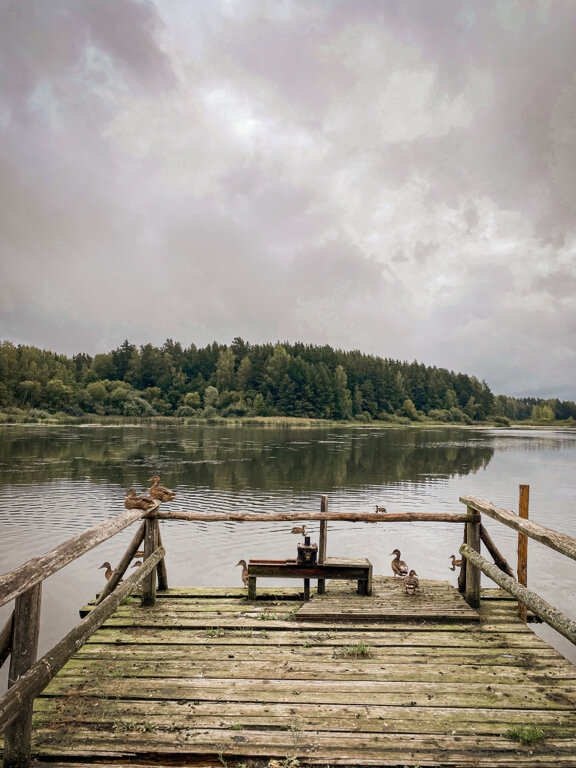 Фото Три Богатыря