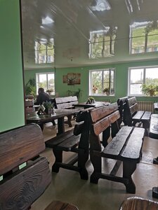 319 km (Tula Region, munitsipalnoye obrazovaniye Yefremov), cafe