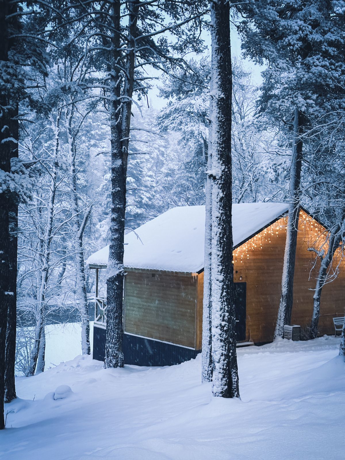 Фото Шале Хвоя