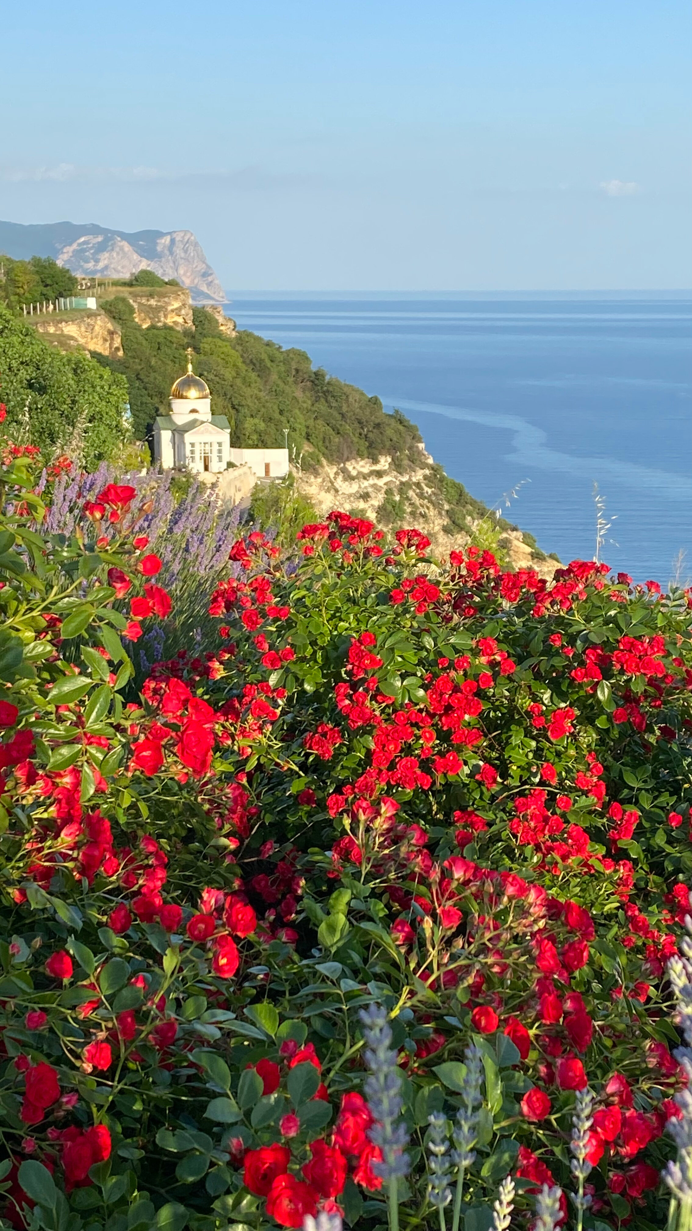 Фото Terrasapallasa