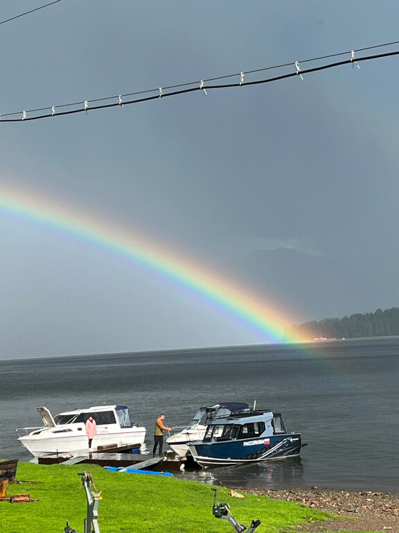 Фото Телецкое золотое