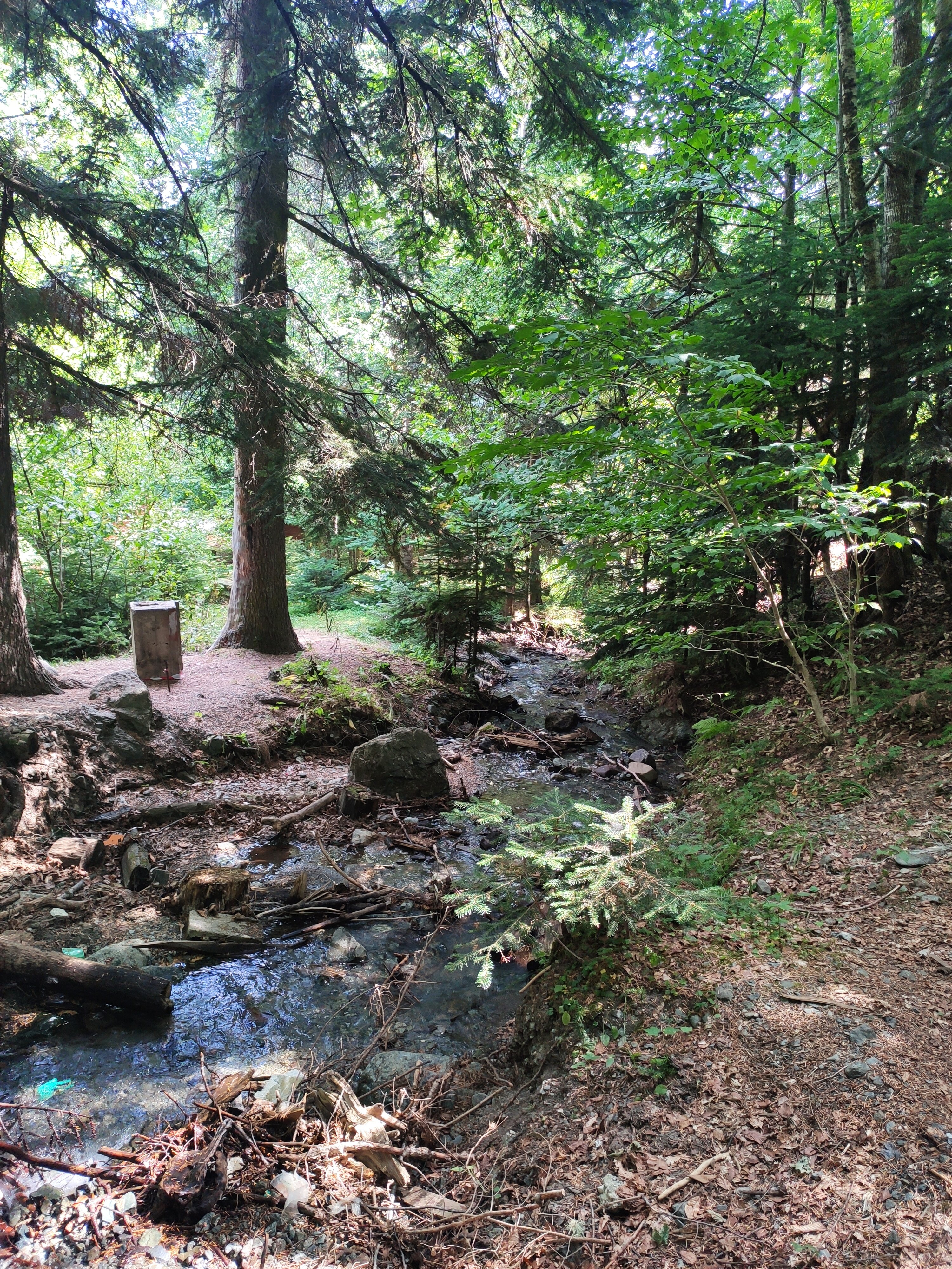 Фото Shantivillas