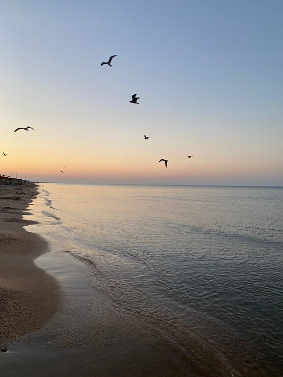 Фото Морской берег