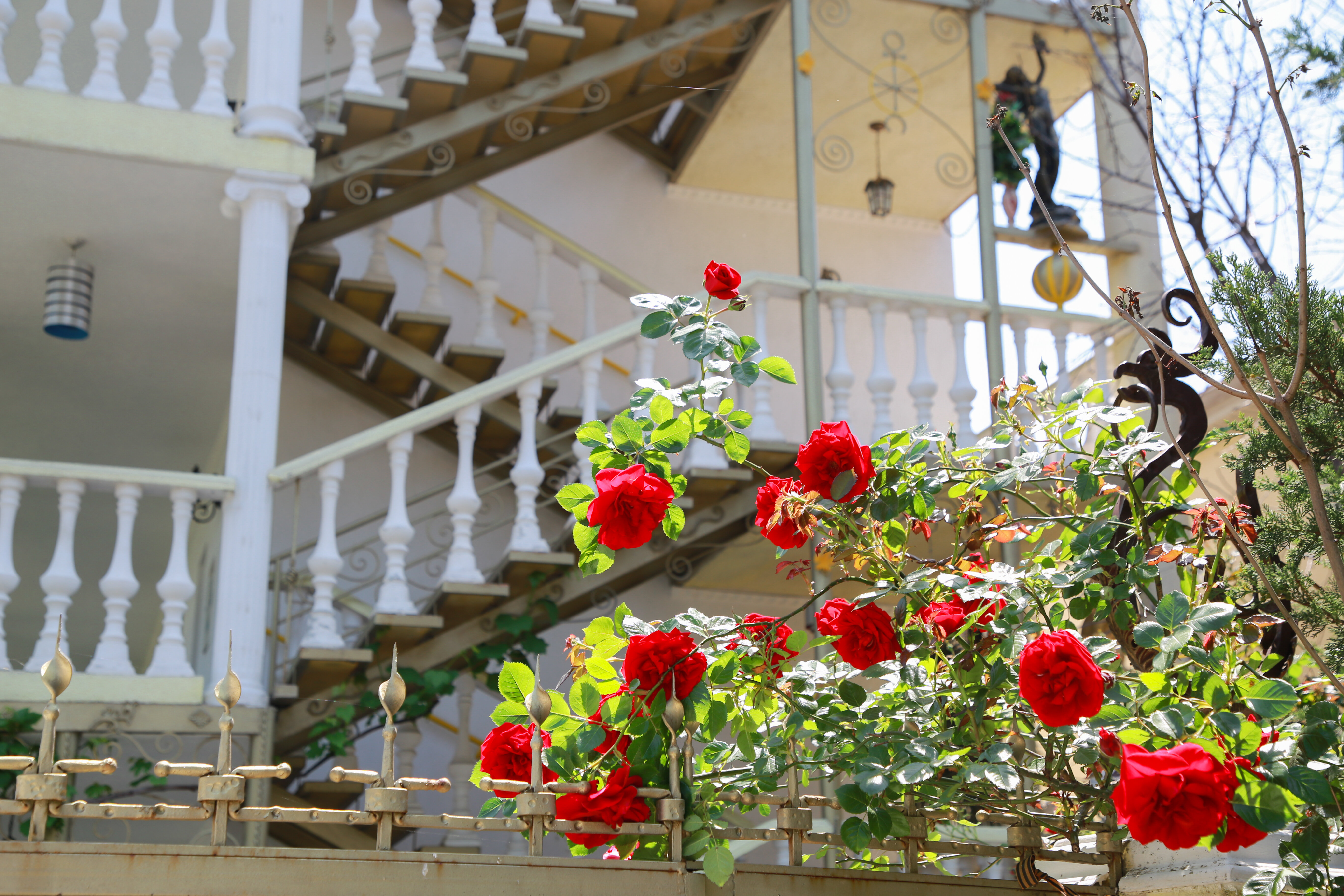 Фото Панорама