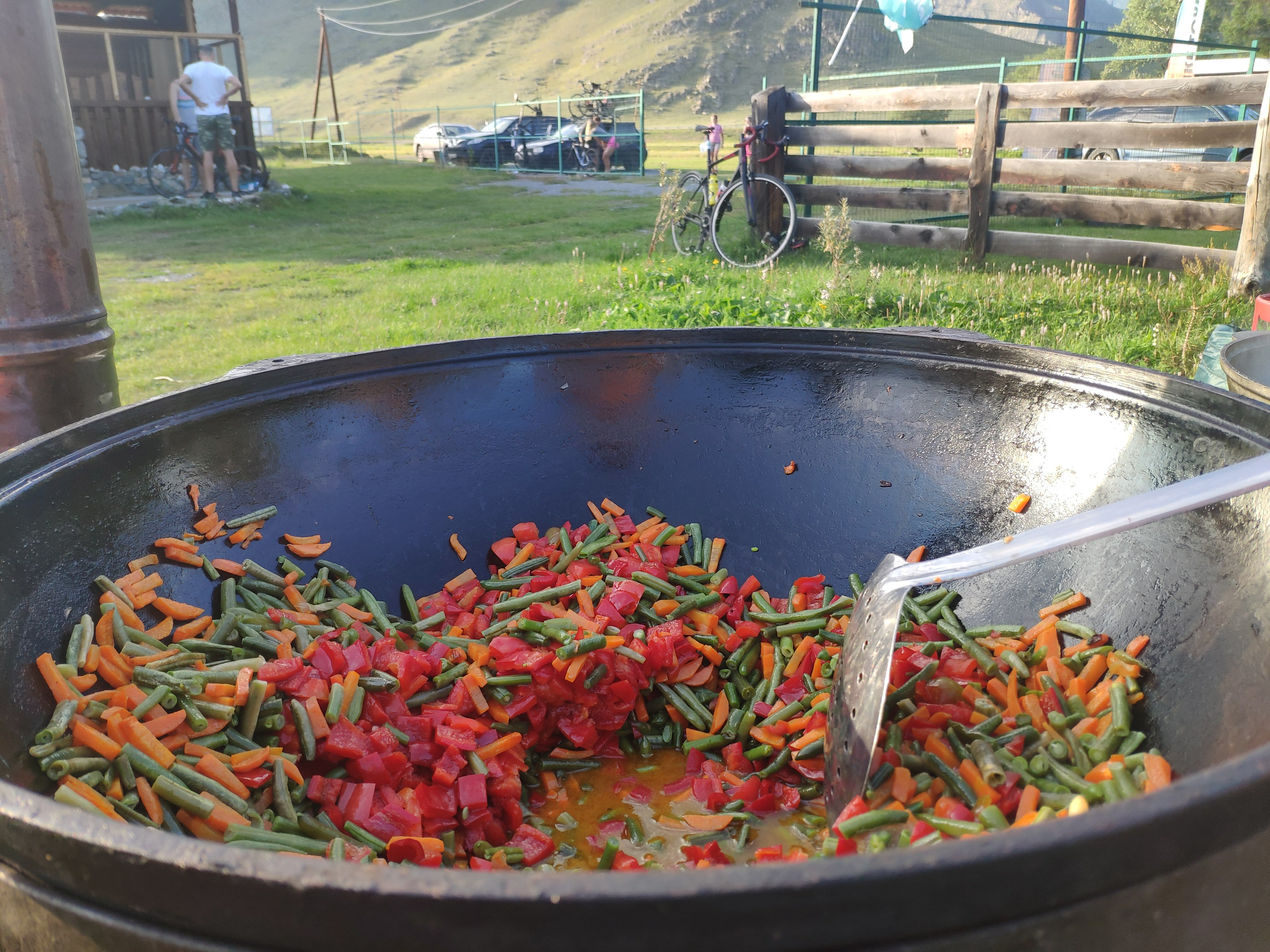 Фото Алтайские дачи