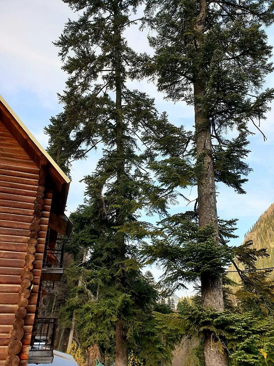 Фото Мирали