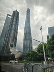 Шанхайская башня (средняя ул. Иньчэн, 501, Шанхай), бизнес-центр в Шанхае
