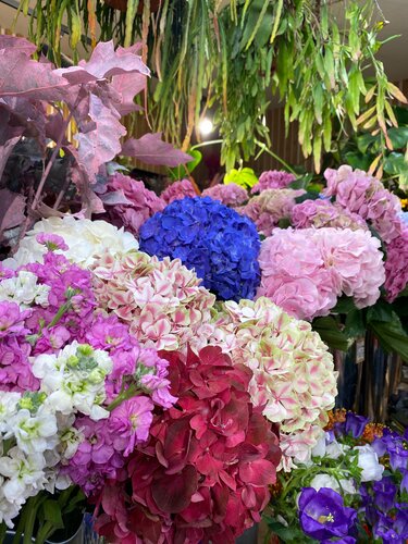 Vintage Flowers 2