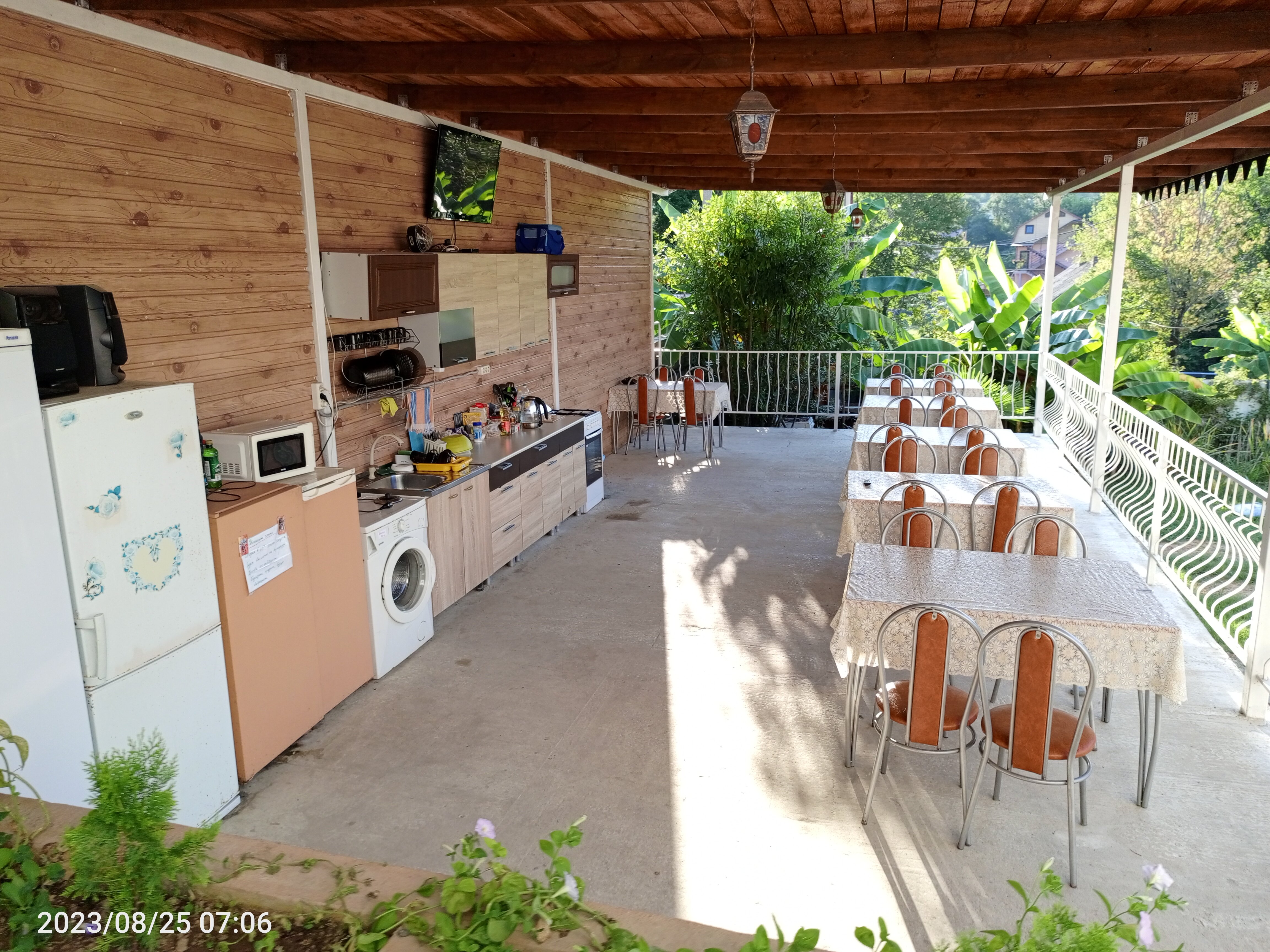 Фото Резеда