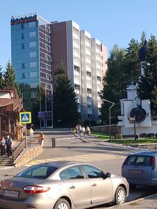 Эхо