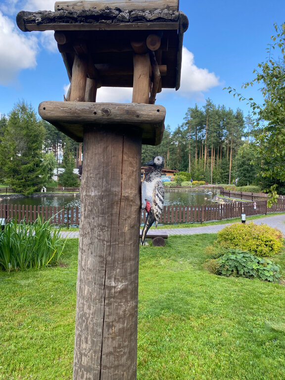 Фото Oxta Ski Resort