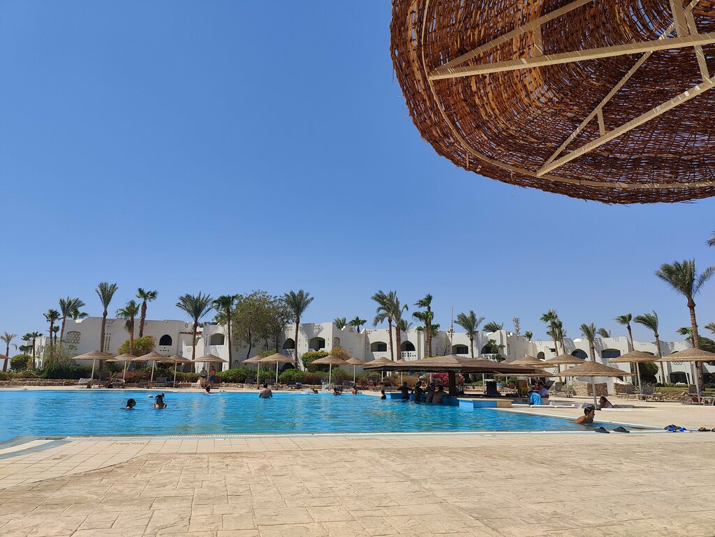 حانة، بار Bar 55 ، شرم الشيخ، صورة