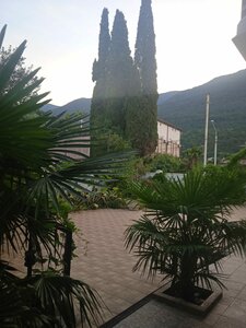Гостиница Три кипариса