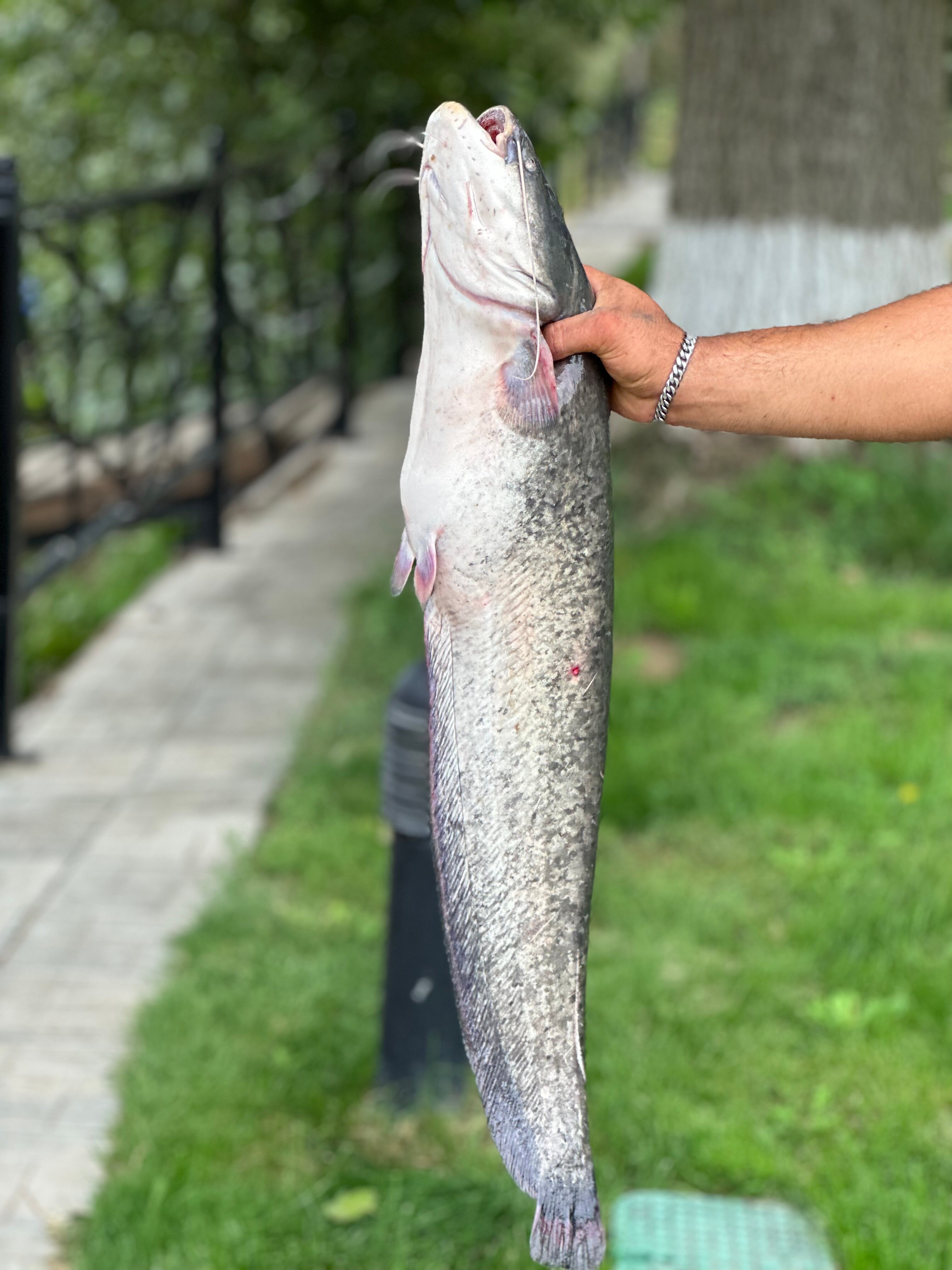 Фото Блесна