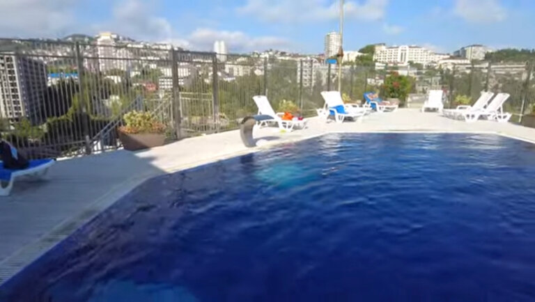 Фото Соната