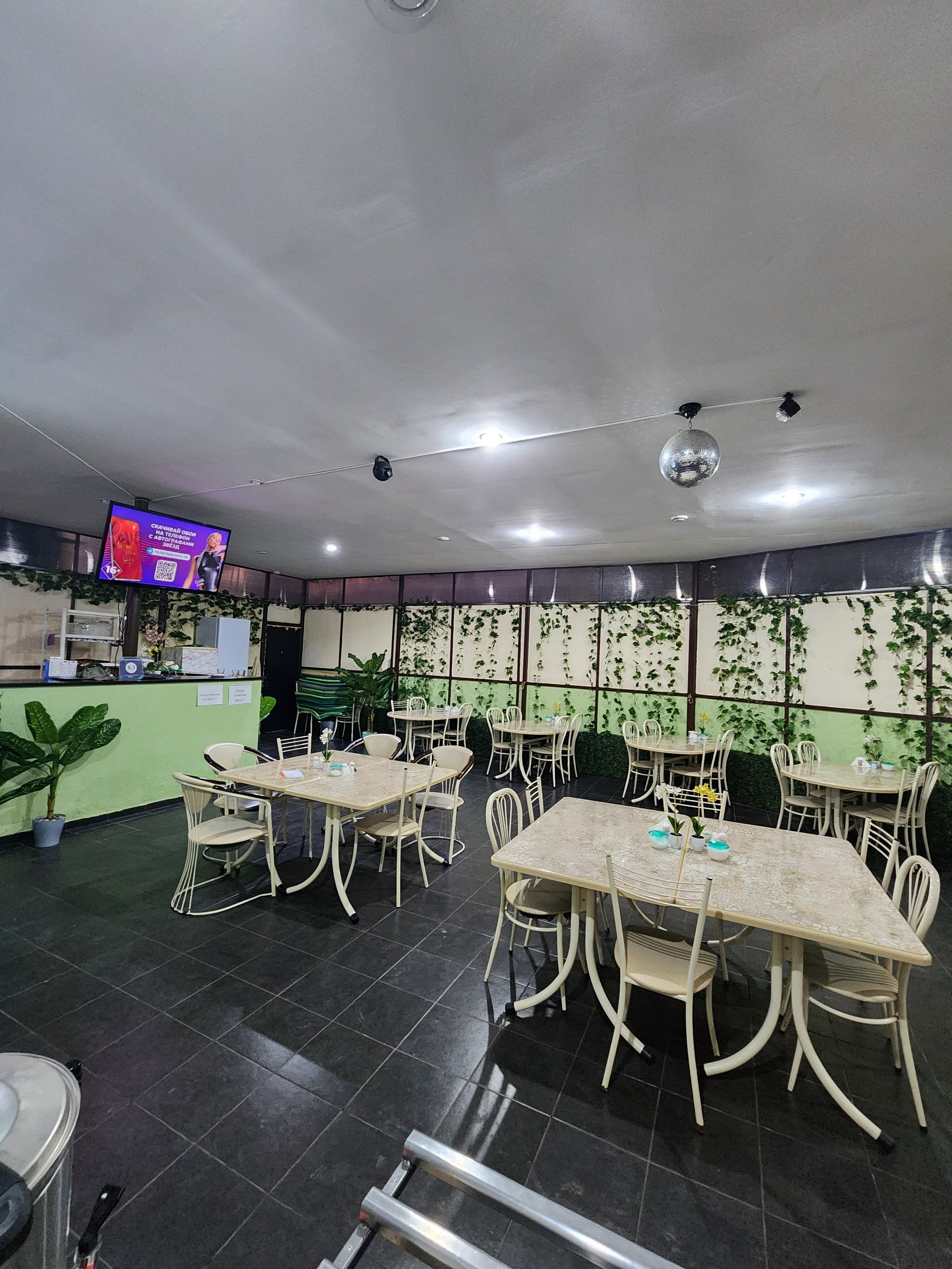 Фото Орхидея