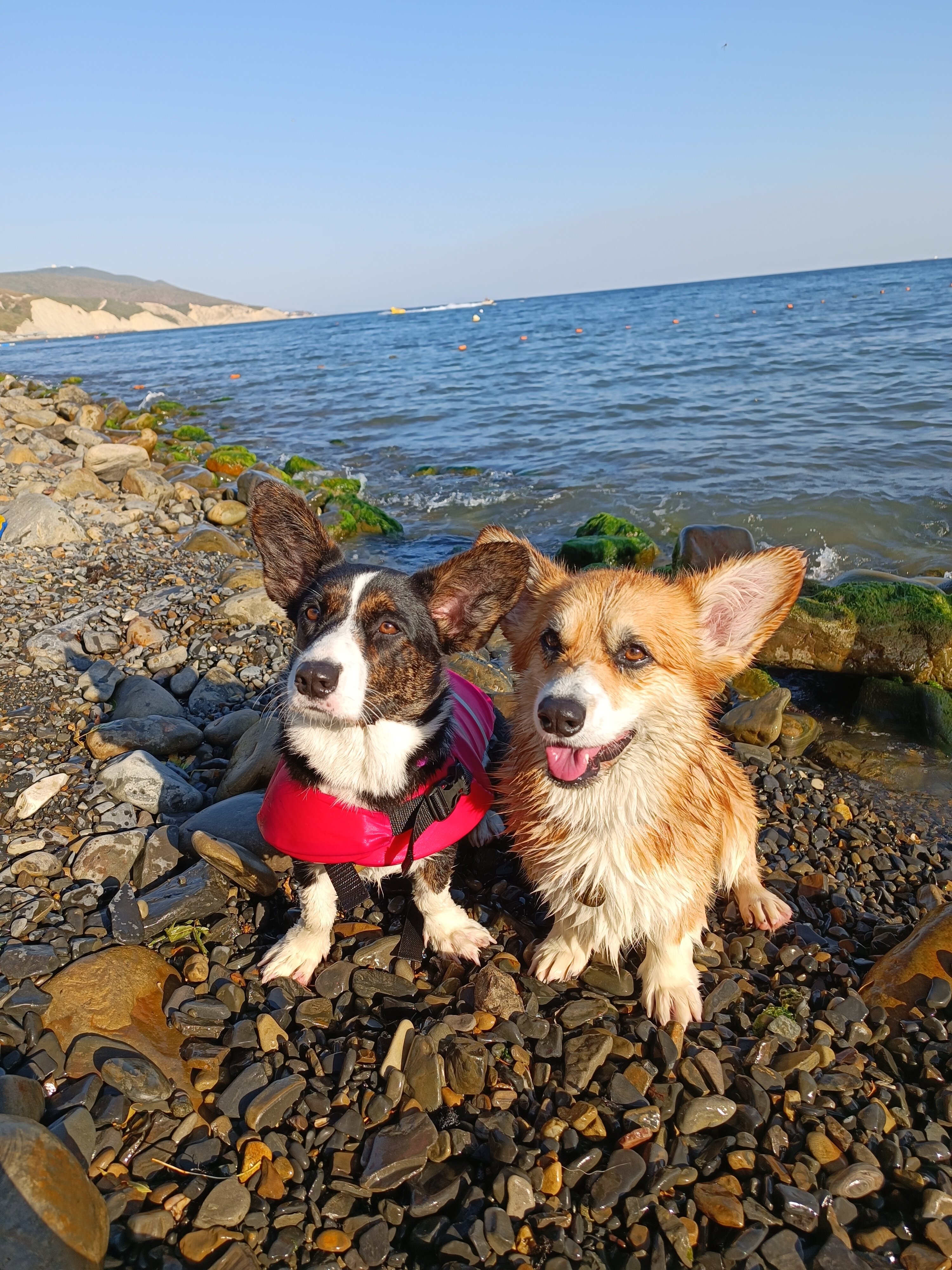 Фото Sokroma ЭтоЮг