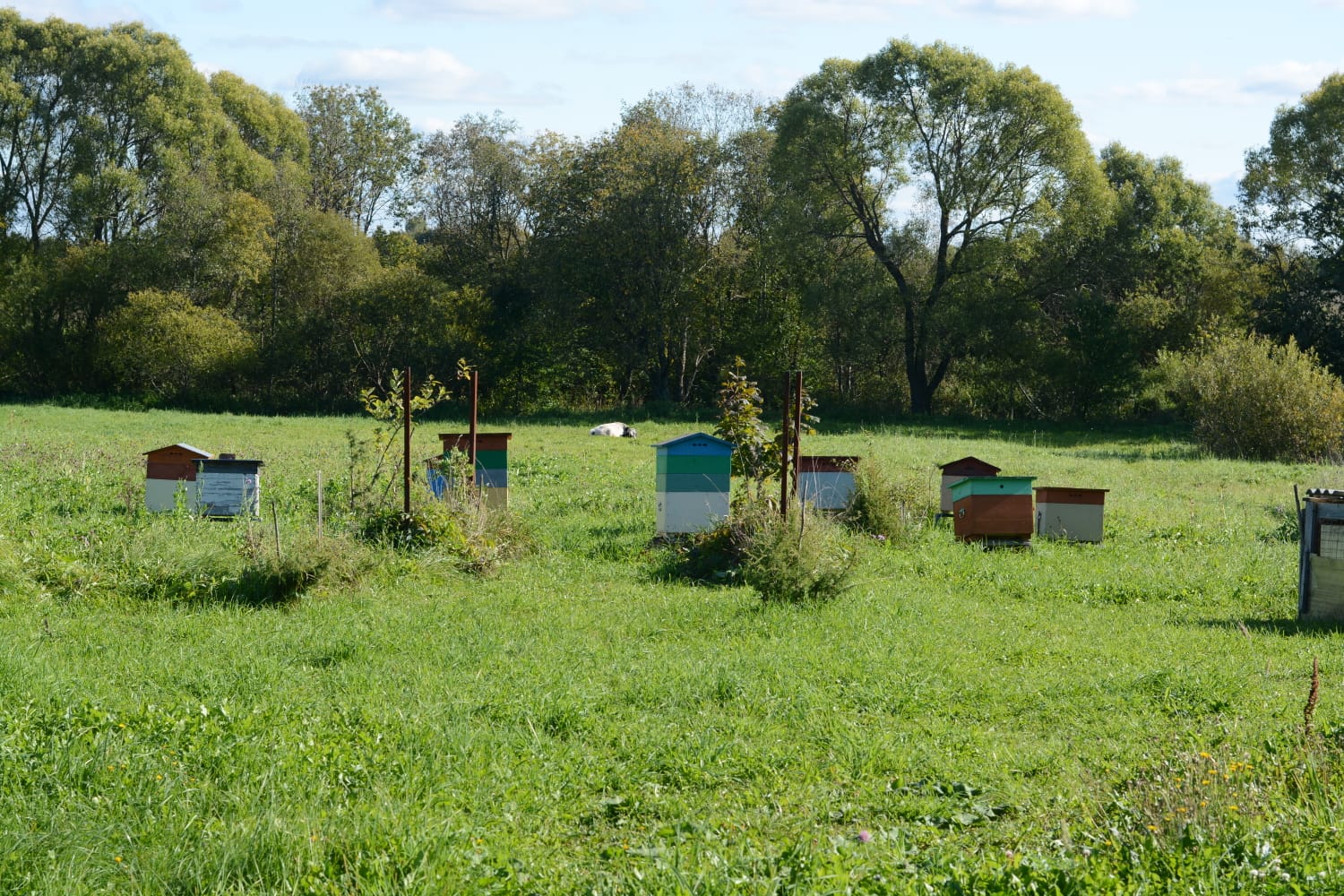 Фото Гостевой дом у Румянцевых