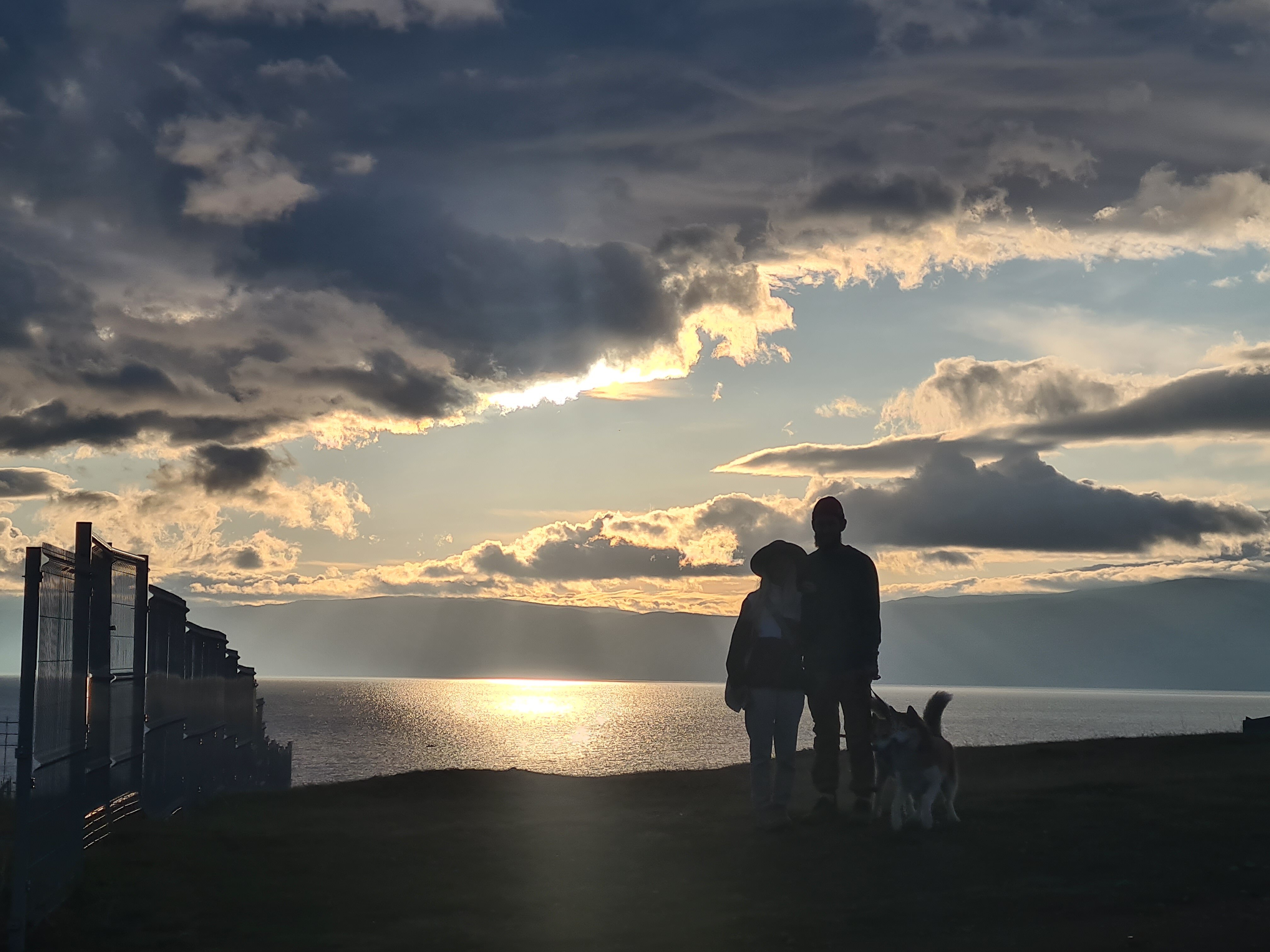 Фото Филоксения