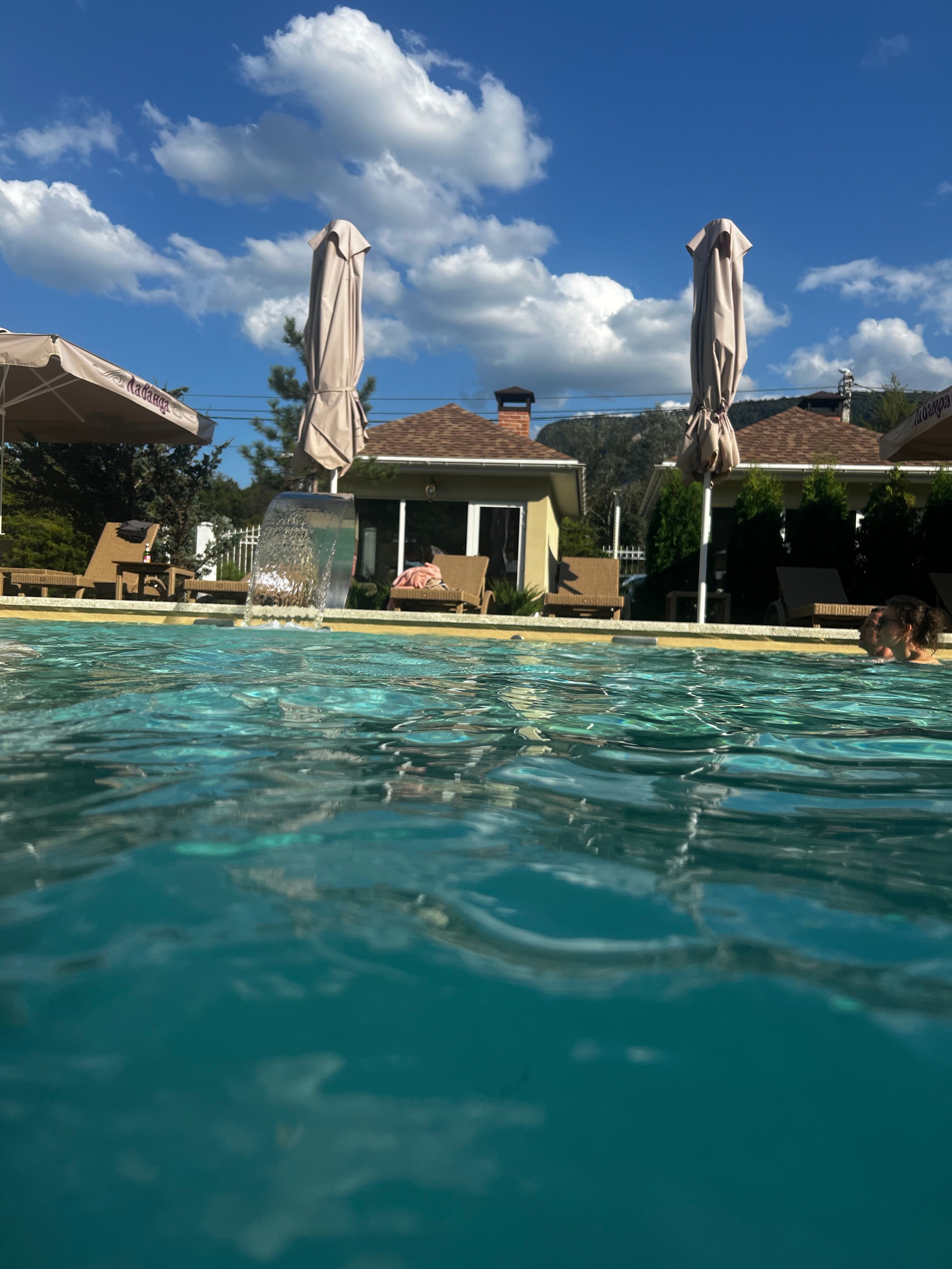 Фото Лаванда