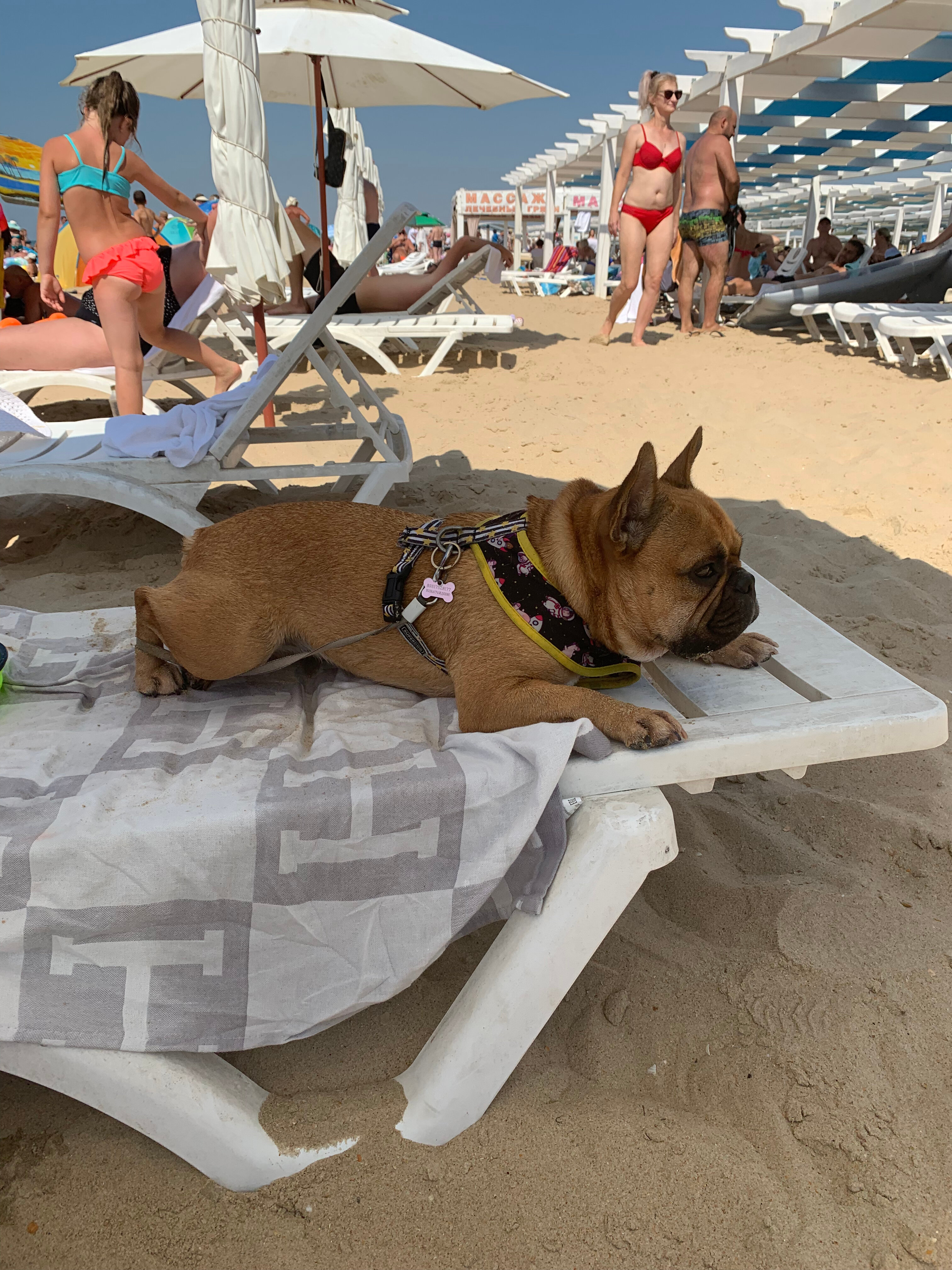 Фото Кронос